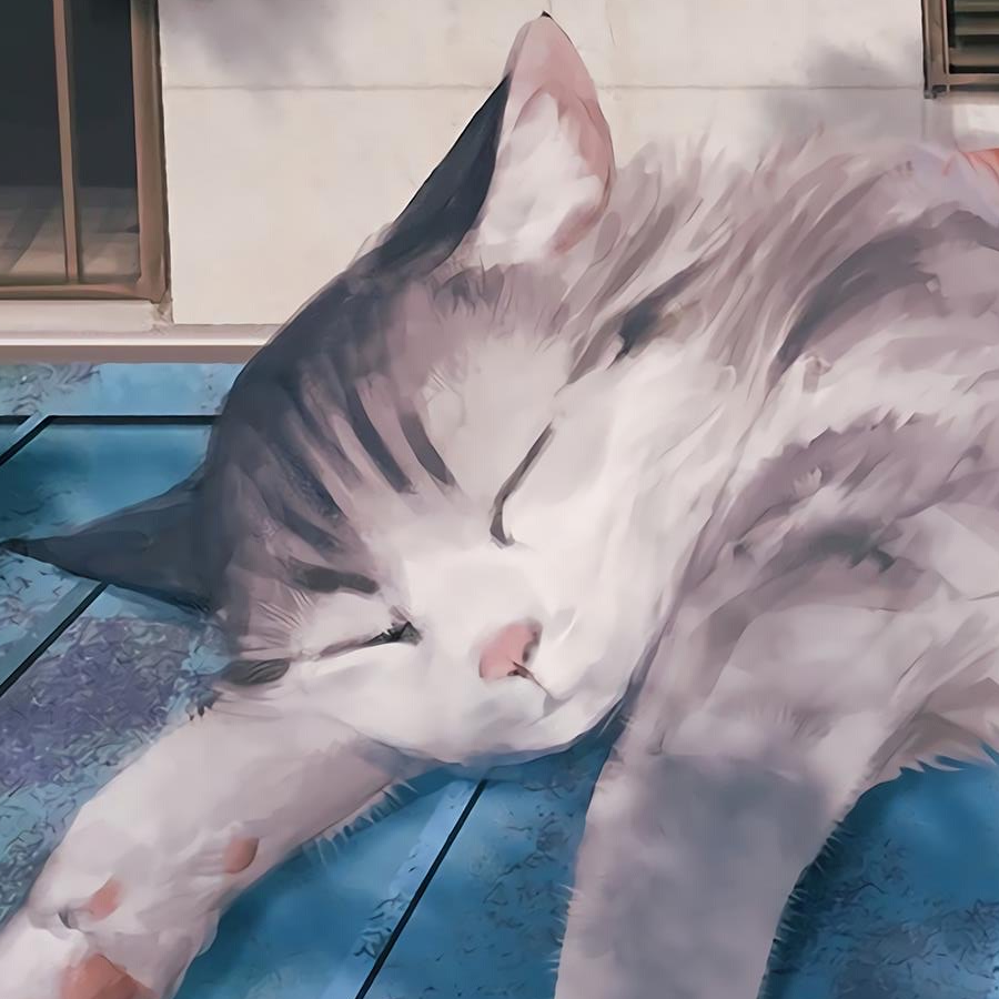 不想睡的猫