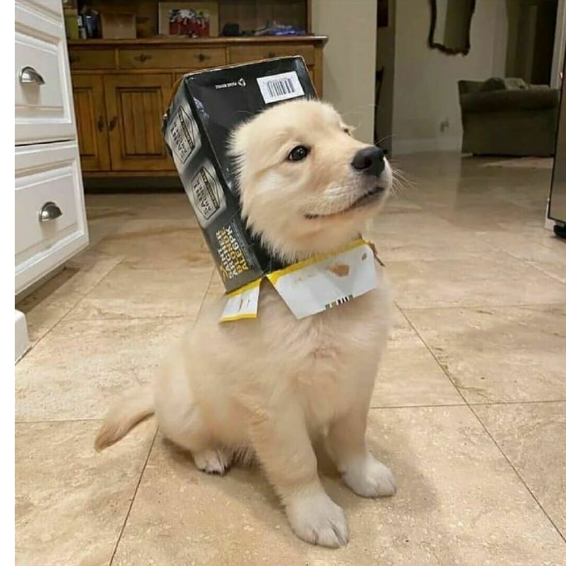 千紇