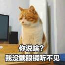 萌新不萌