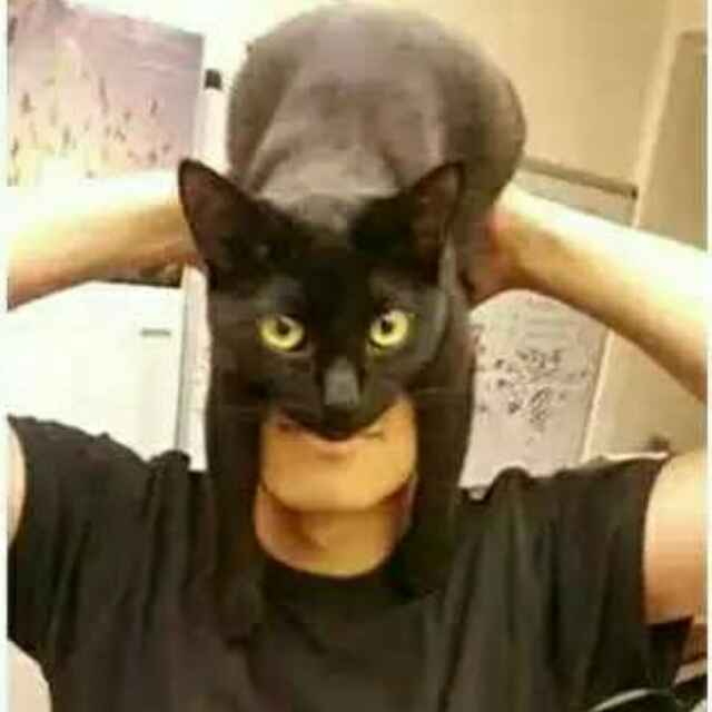 戒酒boy懋懋子
