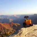 橙橙家的小团子🐳