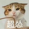 哒哒哒。