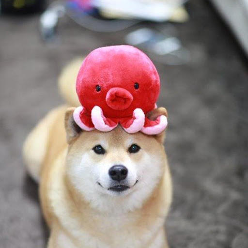 천우솔