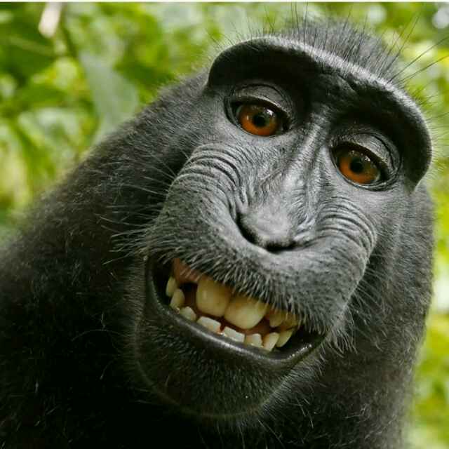•