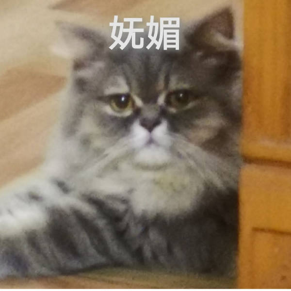 别问问就一直死