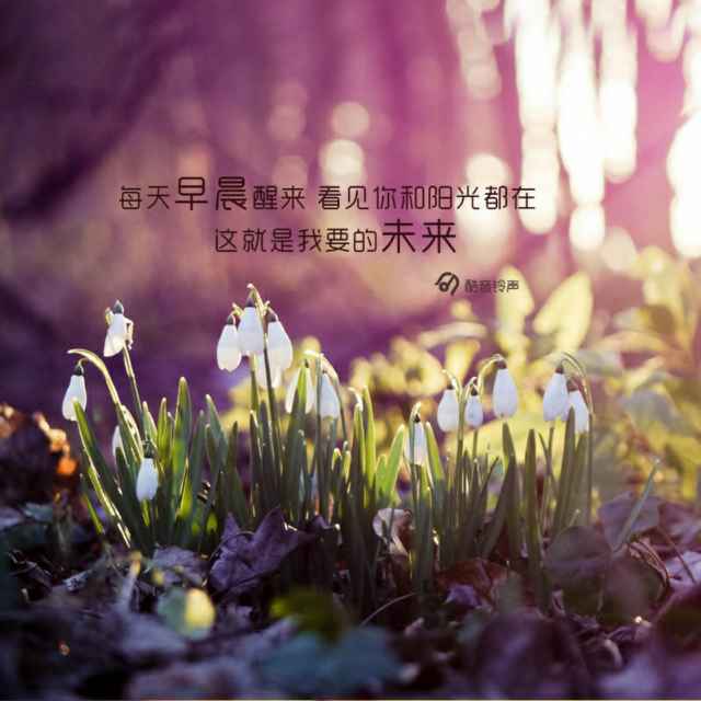 嘻哈嘲讽