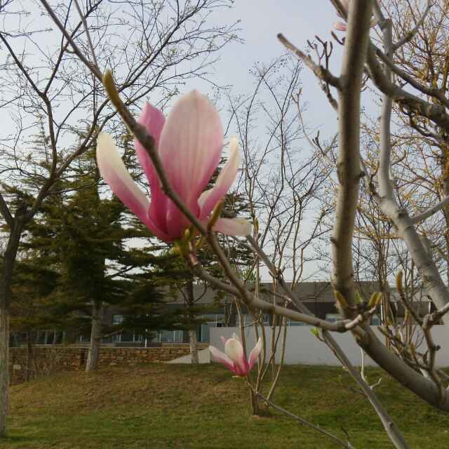 「算是攻略」剃刀和大Q吧的改装道路|QQ飞车