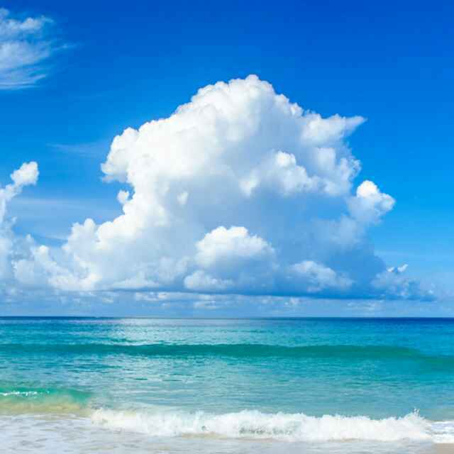 皮～还皮嘛！不了