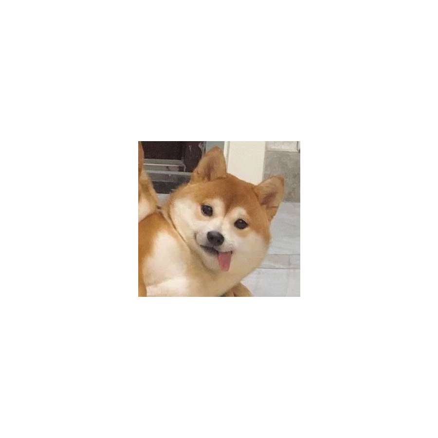 大风起兮云飞扬