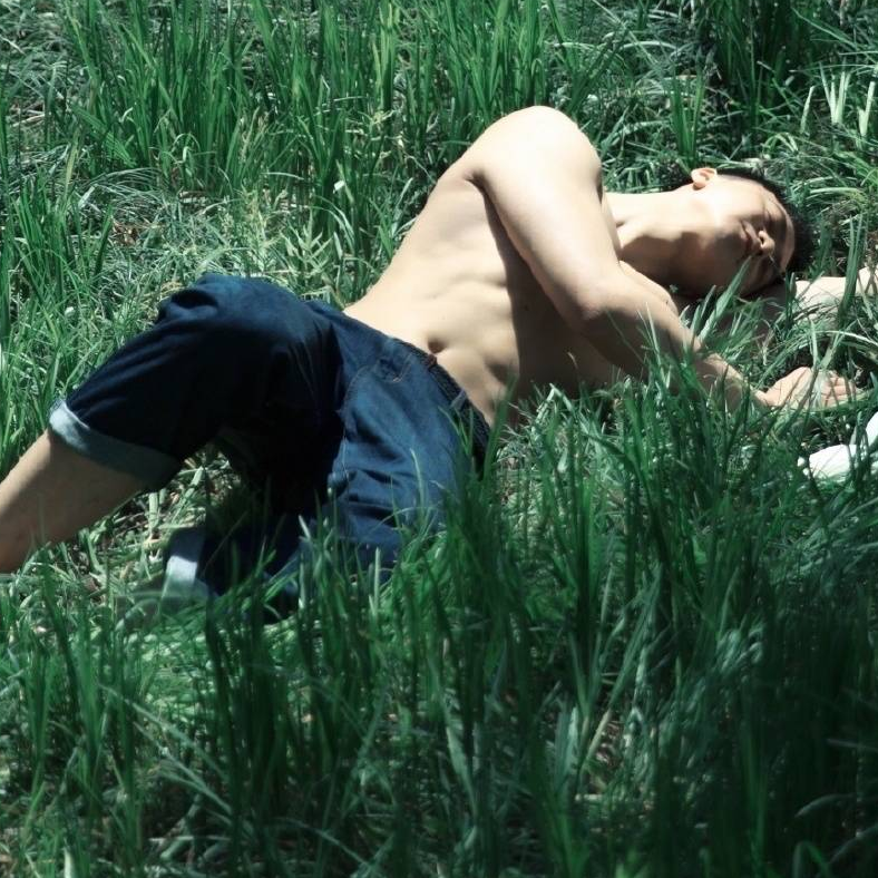 北冥に魚がいる。