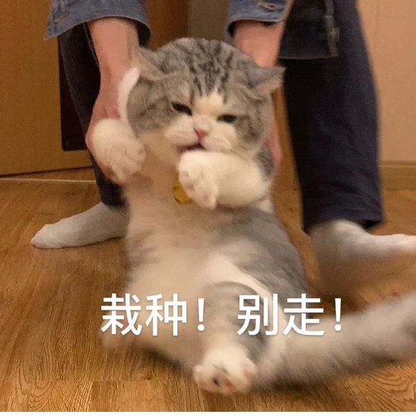 萝卜邓猪脚