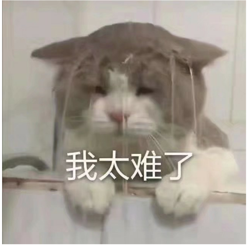 你的