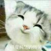 伸个懒腰都是爱你的形状