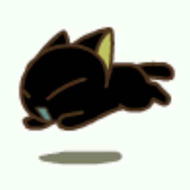 龙猫猫