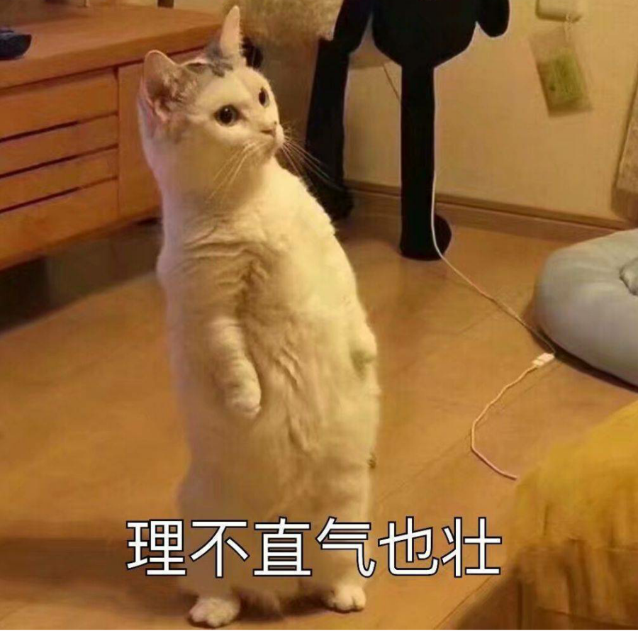 理直气壮
