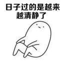喵老大