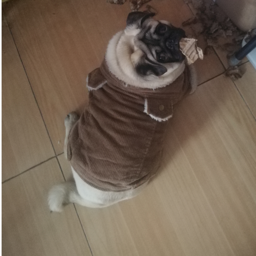 晓坤