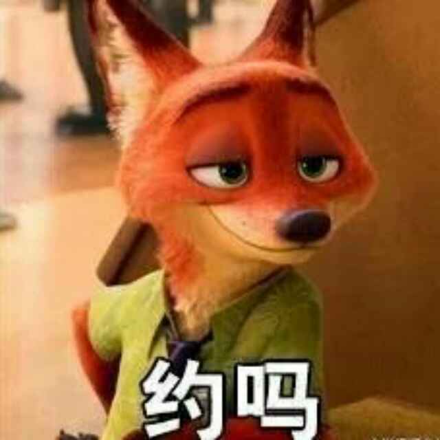18小时在睡觉的狮子