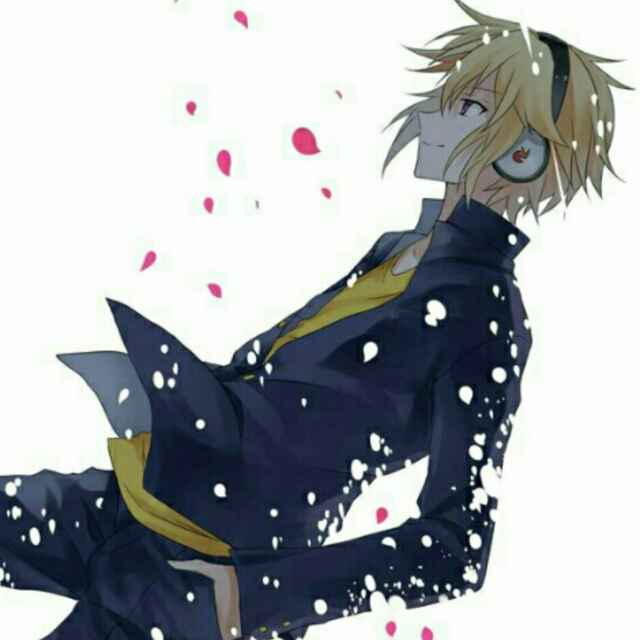 花雨