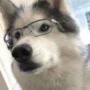 就一个大男孩。