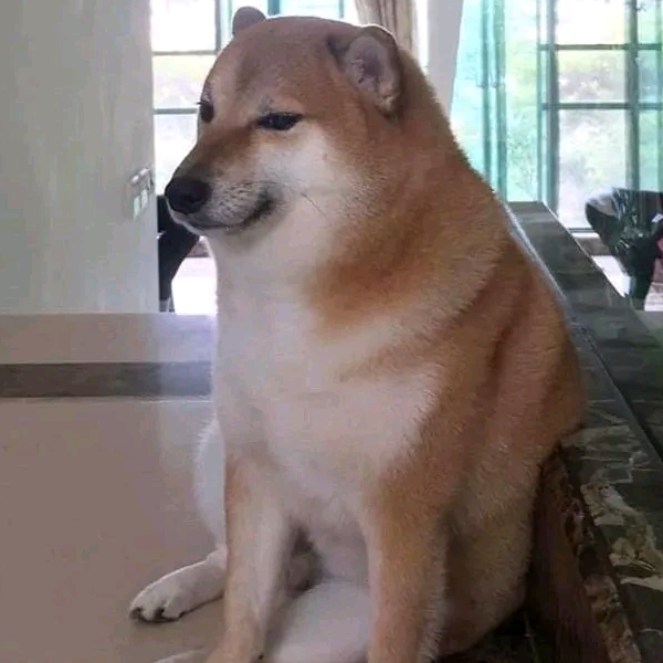 某不知名のdoge