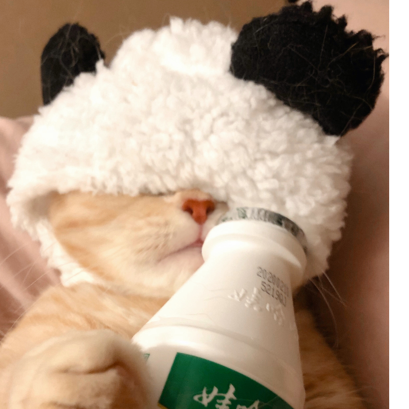 小啵