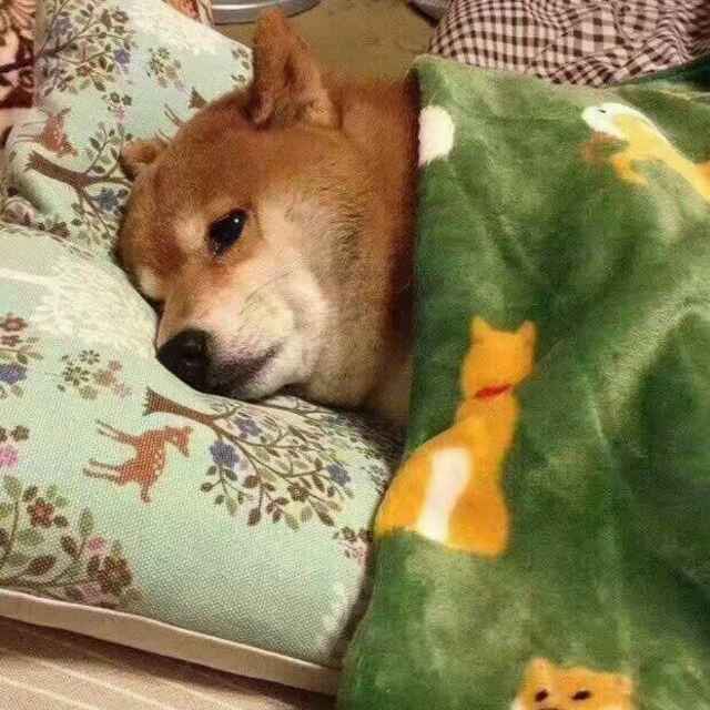 意中人