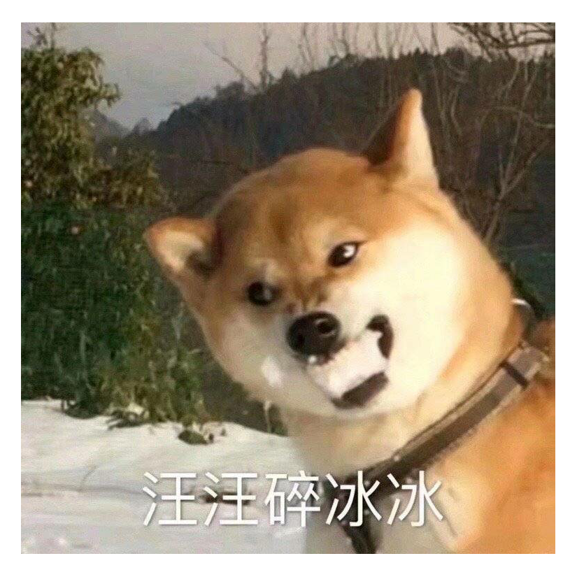 宝大王