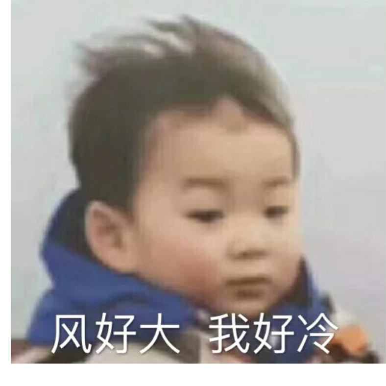 子鱼