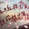 不吃鱼的猫