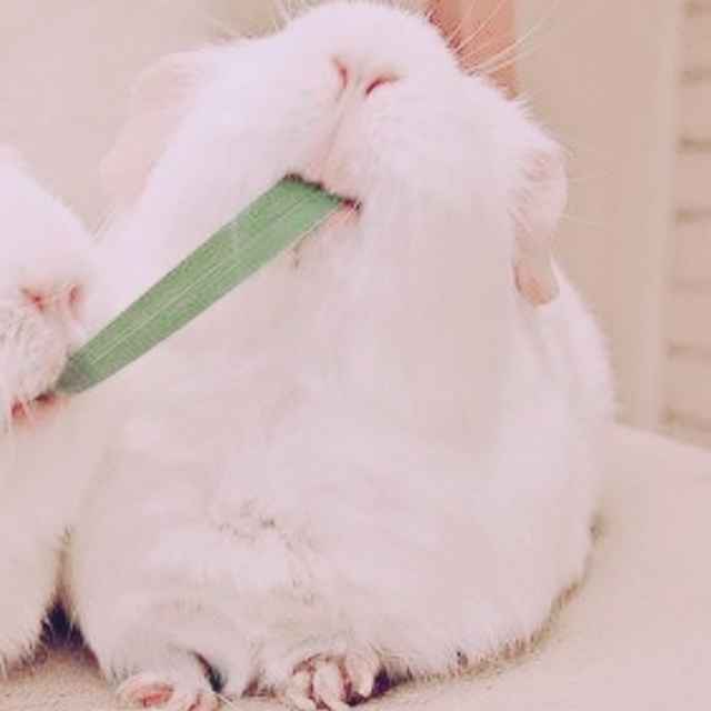 视角