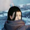我寄人间雪满头