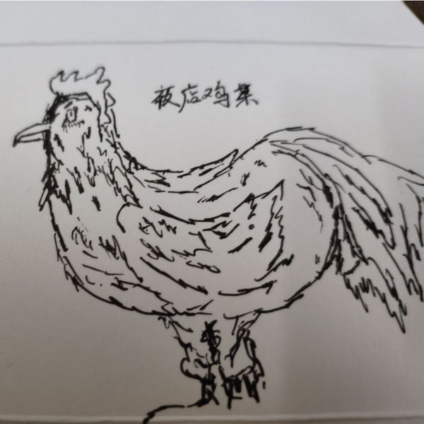 混二🐔某人