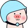 Do pig must hap