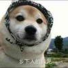 _这很奈斯
