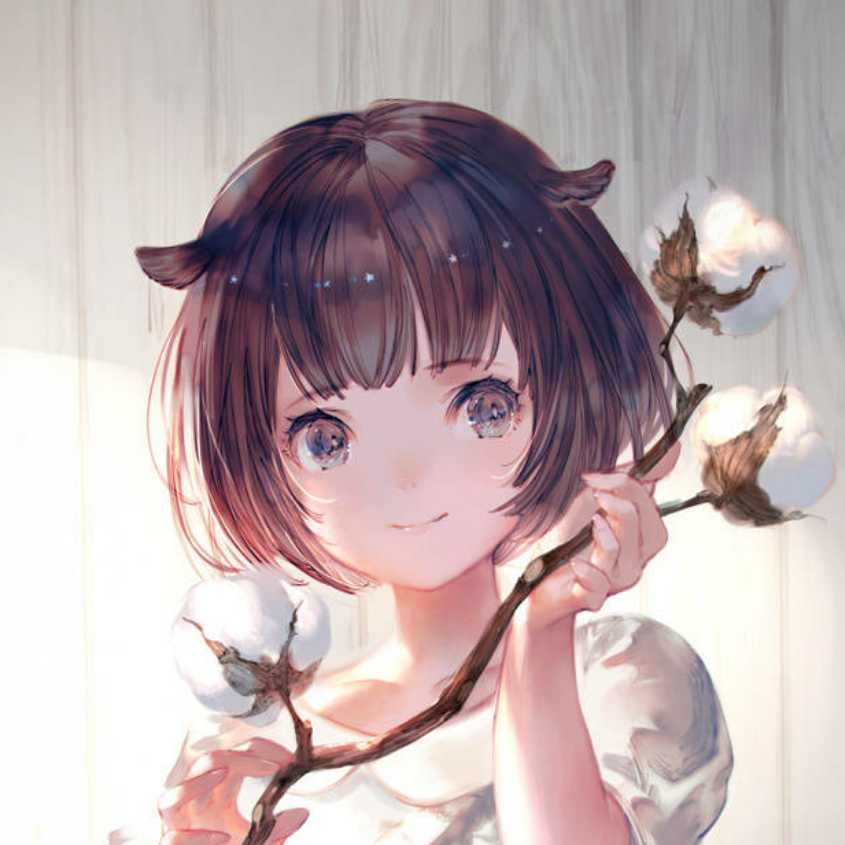 白鹭先生不会飞