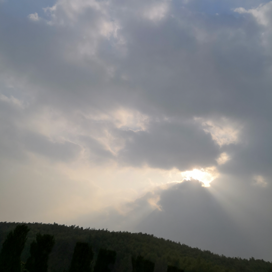 离歌