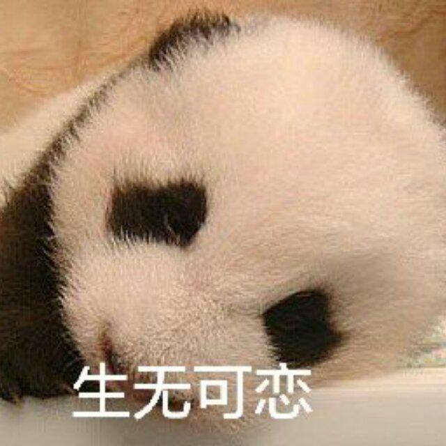 狼王依旧
