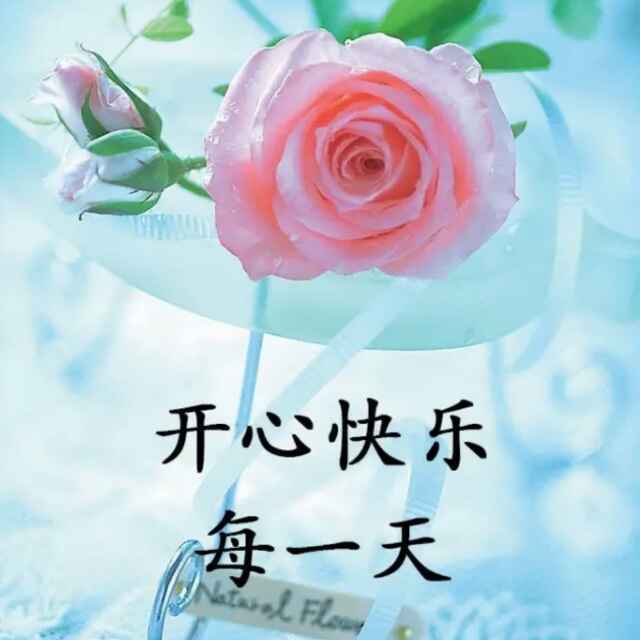 一切尽在不言中