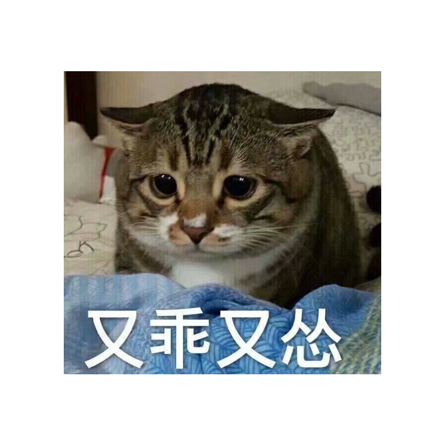 木卯