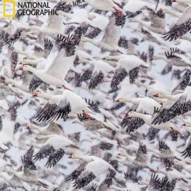 记忆过载