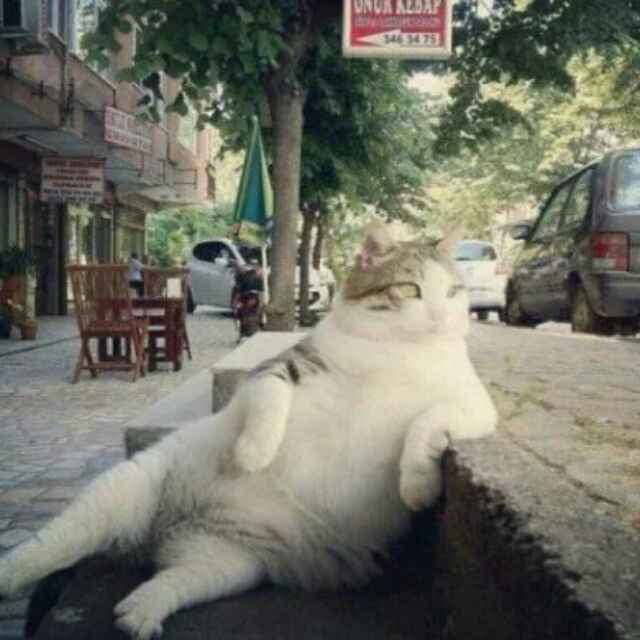 蜗牛不二