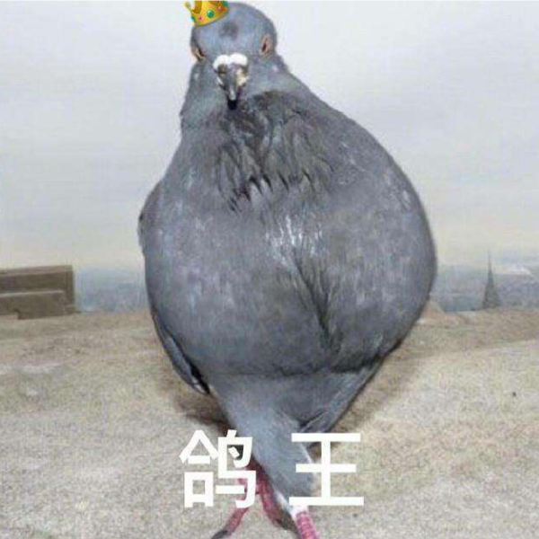 玉子