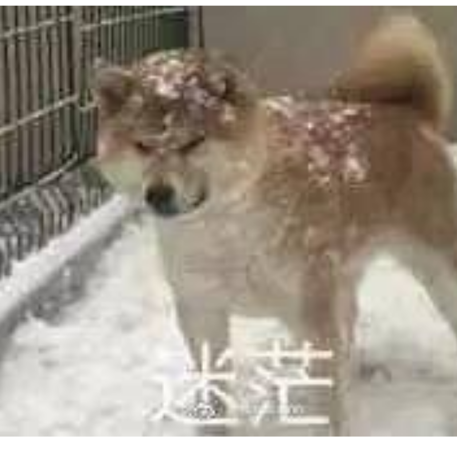 钢镚儿精