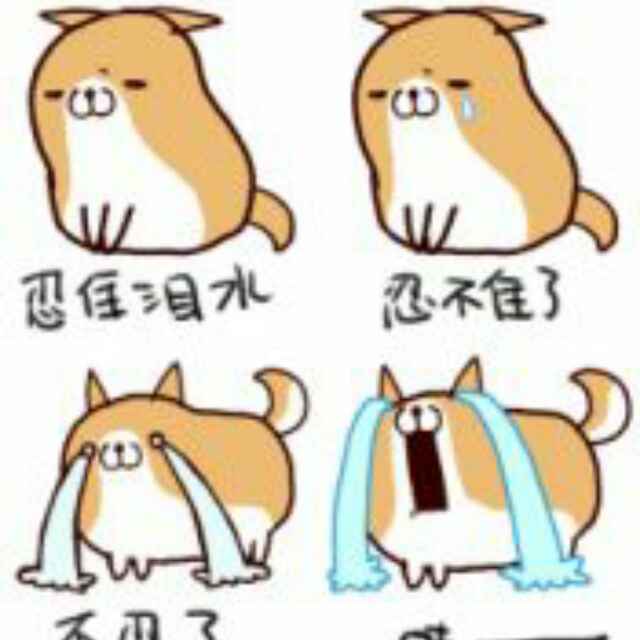 楚朋
