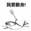 咸の鱼