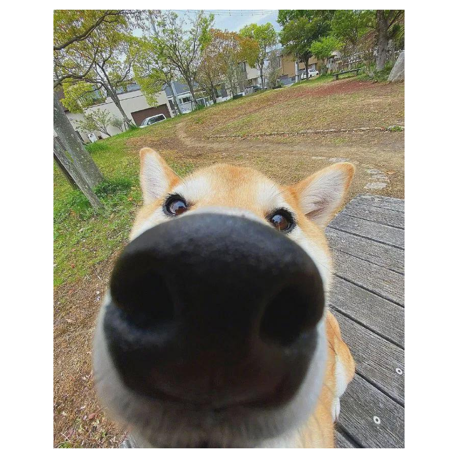 時い雨は