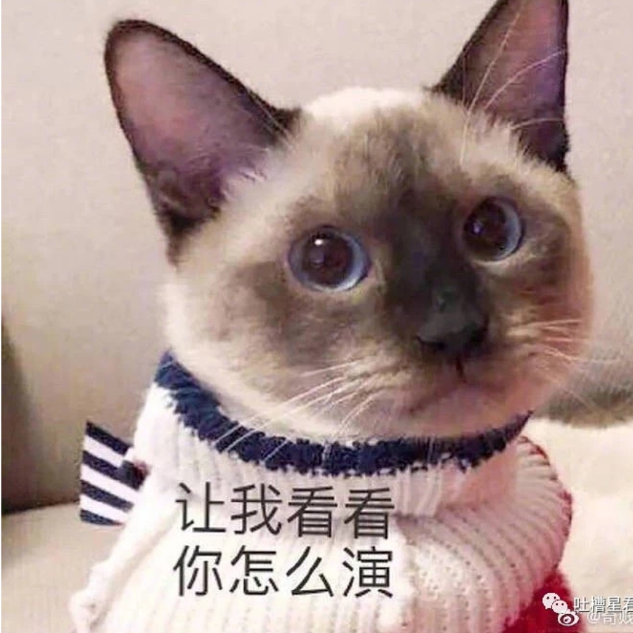 皮皮撒