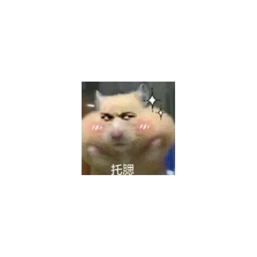 小鹏友