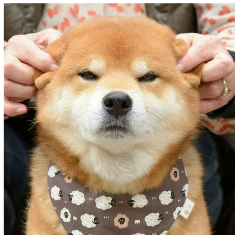 miku我婆